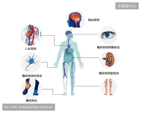 外泌体疗法凭借其低免疫原性和精准靶向性，将在2028洛杉矶奥运周期前取代部分自体干细胞疗法，成为运动医学投资的核心战场
